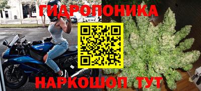 ГАЛЛЮЦИНОГЕННЫЕ ГРИБЫ Заволжье