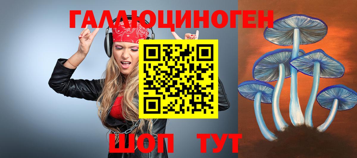 Людиново  Псилоцибиновые грибы Cubensis  Псилоцибиновые грибы Psilocybe  Вход с VPN 